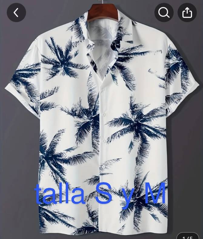 Camisas de hombre 